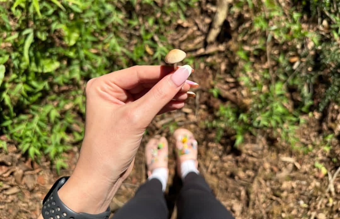 ای خدااااا چقدر گوگولیه 🍄