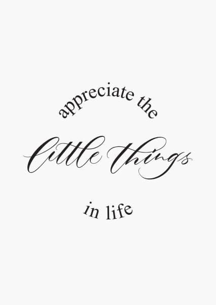 ✨