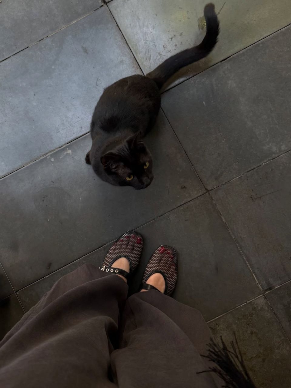 🐈‍⬛🐈‍⬛♥️