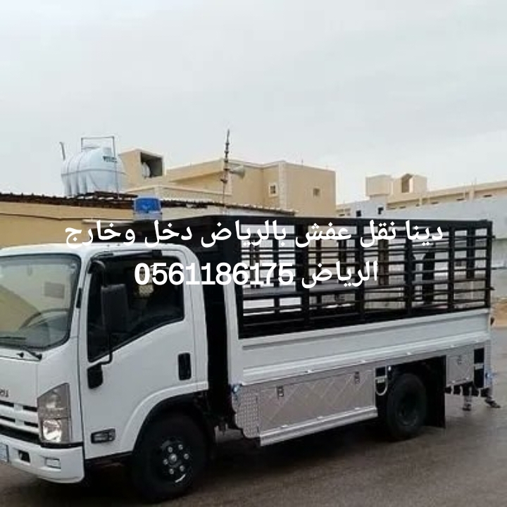 دينا نقل عفش بالرياض 0561186175 لوري نقل عفش بالرياض جميع احياء مدينه الرياض 0561186175دينا نقل عفش بالرياض 056118617...