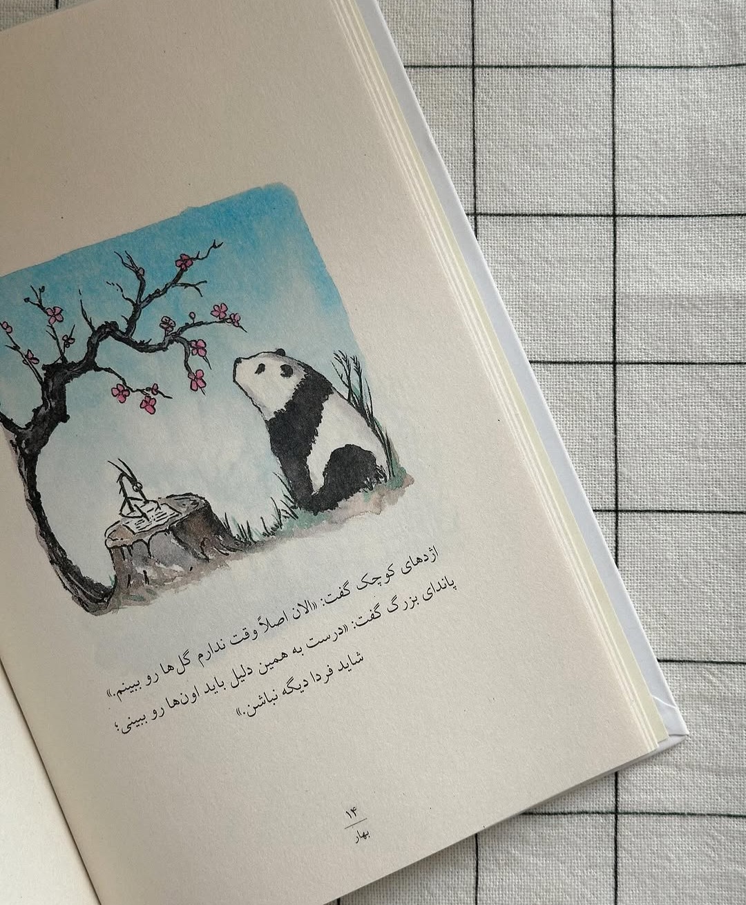 Post by @hanigoli
