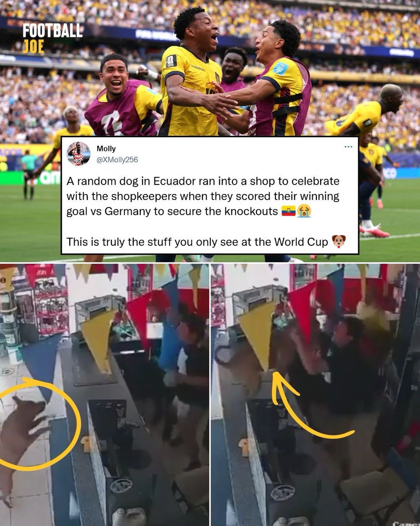This is the most World Cup situation ever 😂
When Ecuador scored their winning goal vs Germany to secure the knockou...