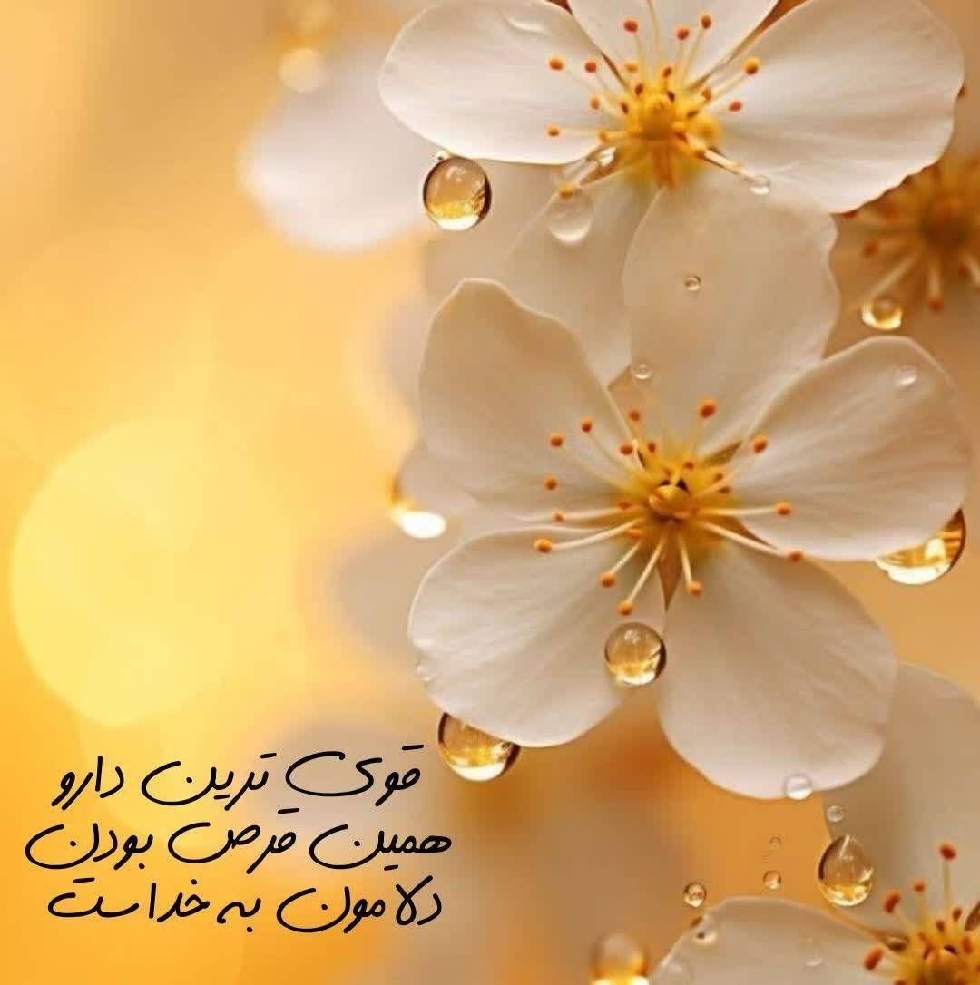 قوی ترین دارو همین قرص بودن دلامون به خداست #مناجات #خدایا_شکرت @TV_BARAN