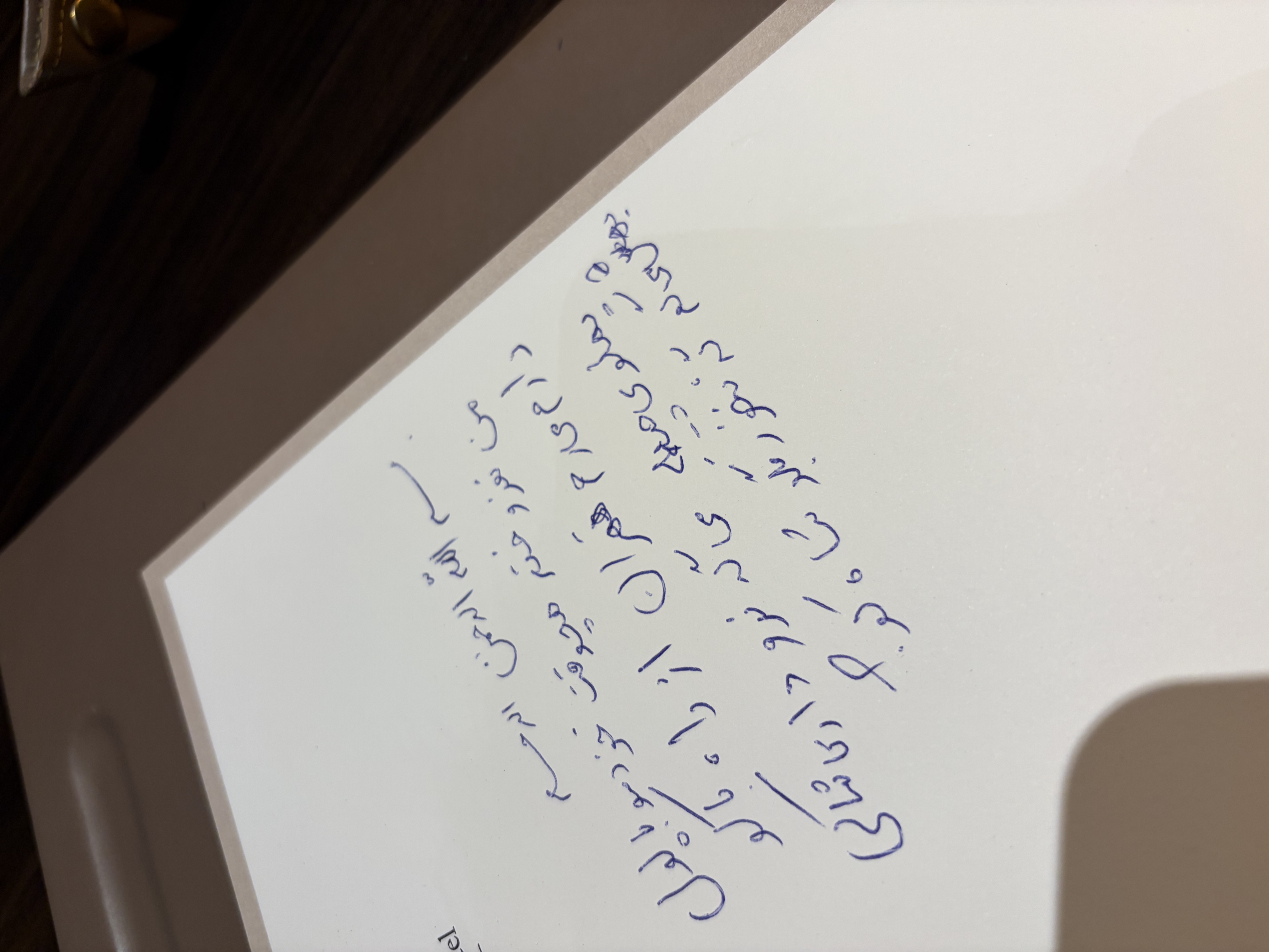 تو مسيرِ برگشت دارم روي آهنگ 'شاه كو' هم كار ميكنم.