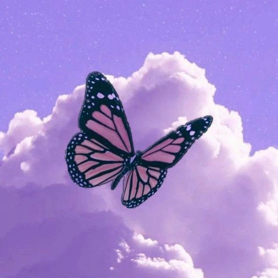 Post by @mozhdeh