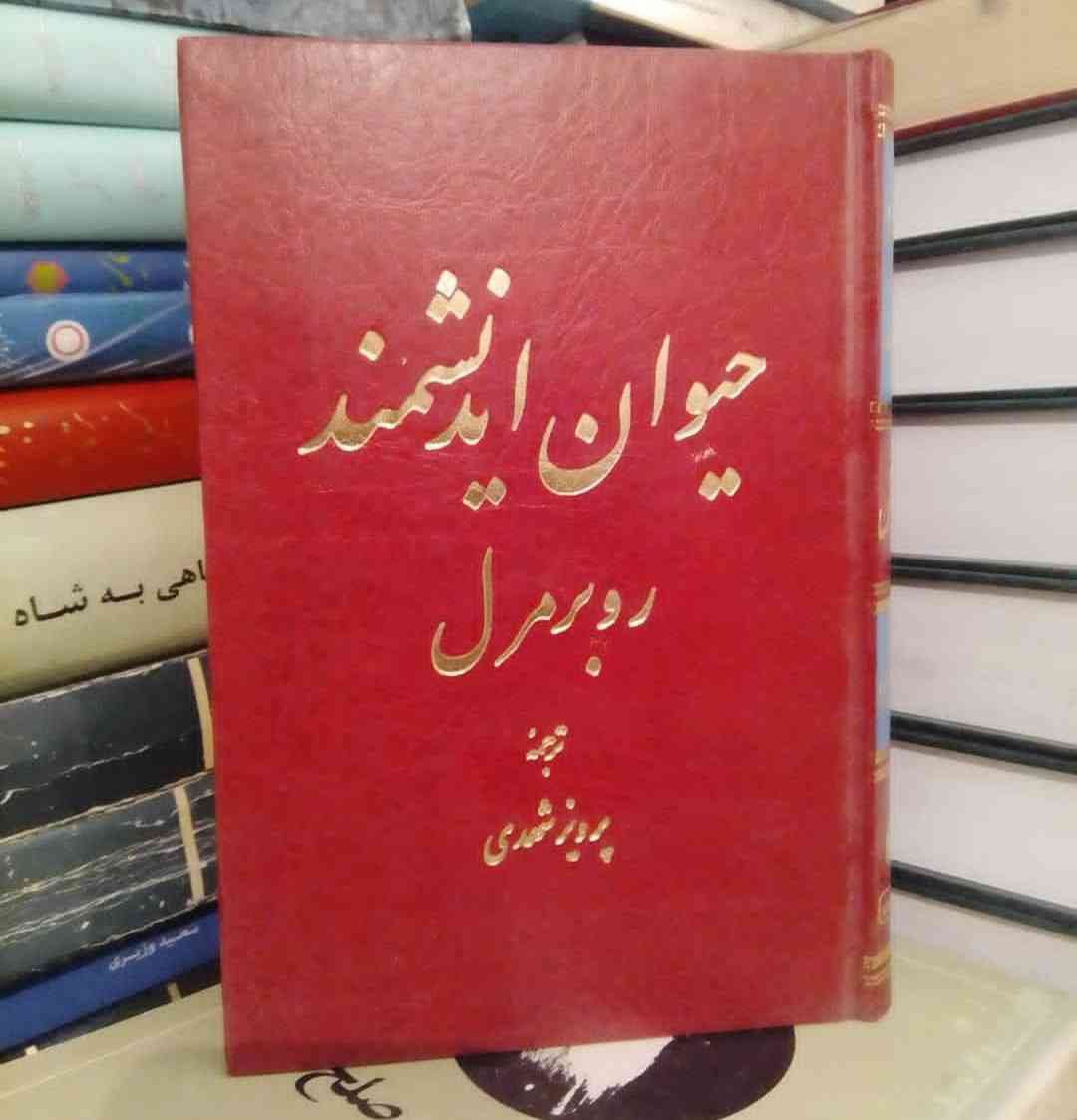 انسان همواره به خاطر رعایت ادب، بیش از حد به دیگران میدان میدهد و آنها هم از این موضوع برای آزار دادن انسان استفاده...