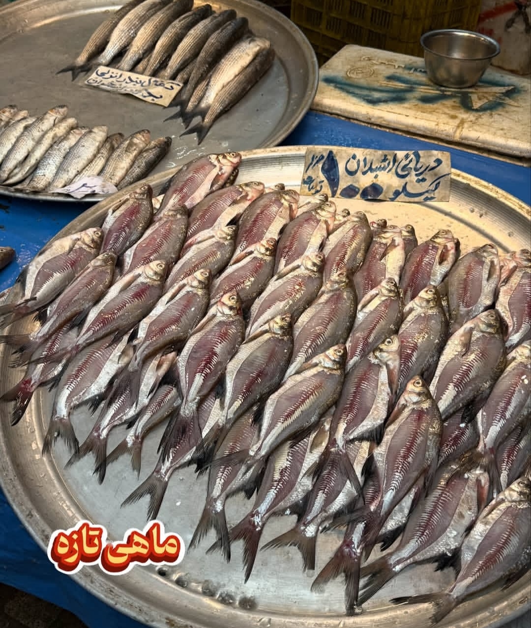 بازار قشنگ رشت ❤️