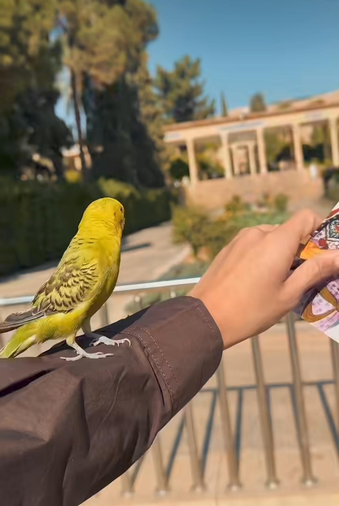 مگه کسی هست تو زندگیش فال حافظ نگرفته باشه ..🤎