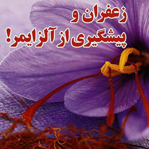 🅾 خواص دمنوش #زعفران 🔺تقویت کننده قلب، ریه وکبد 🔺مفرح، محرک نیروی جنسی و قاعده آور 🔺پاک کننده کلیه ومثانه و دفع ک...