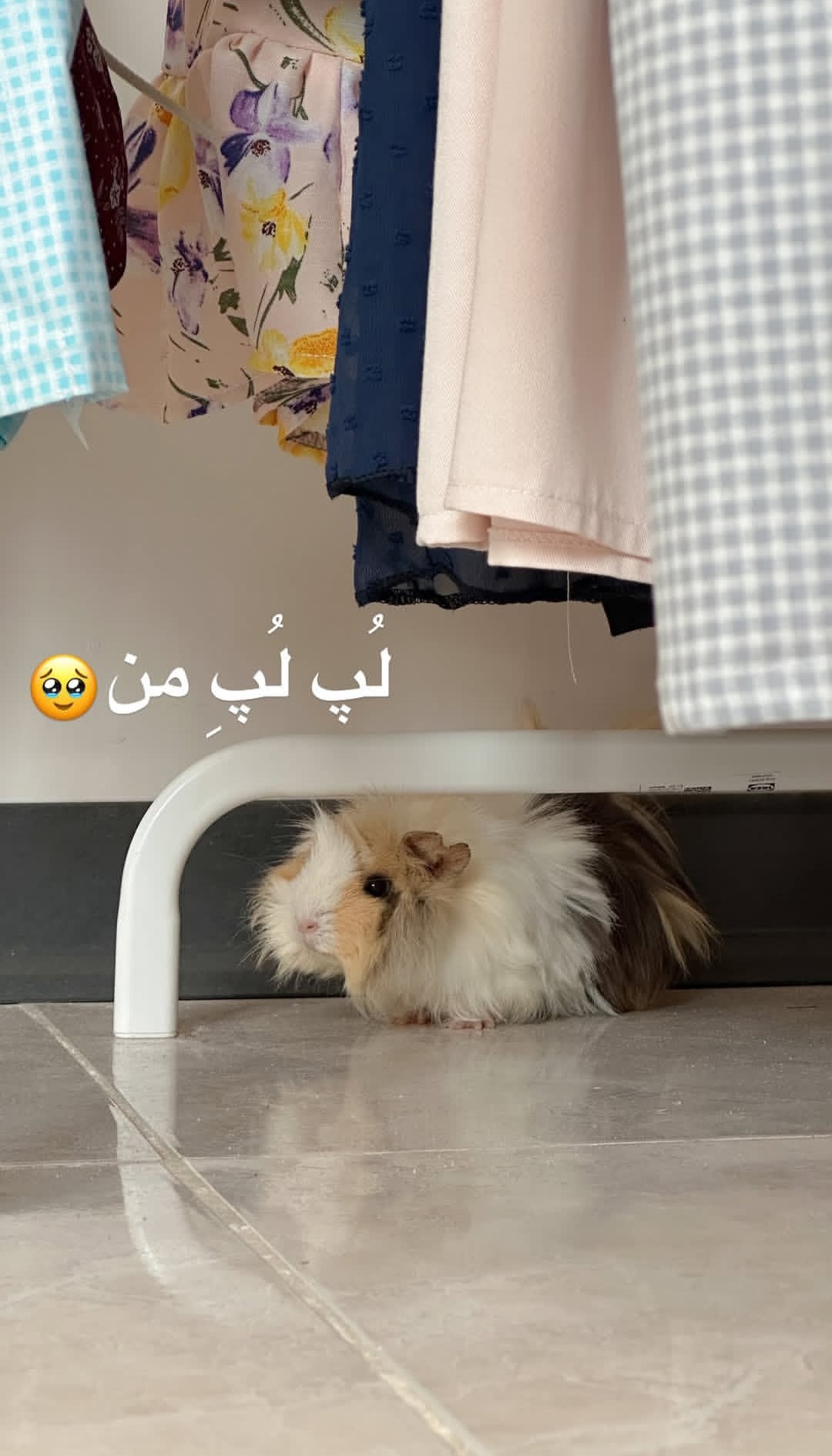 Post by @hanigoli