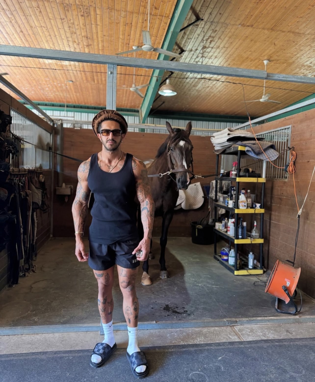 🐎🐎🐎