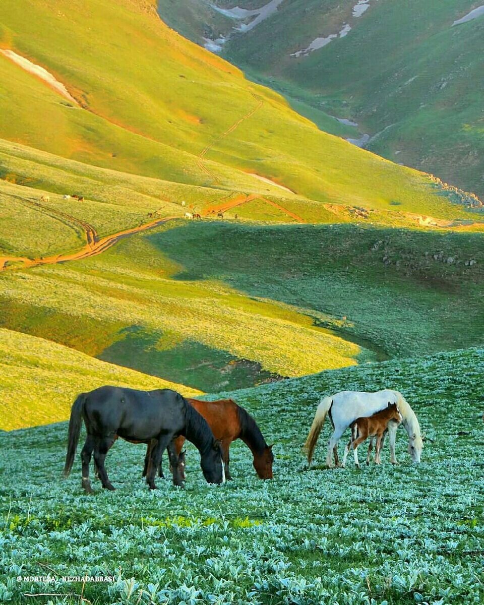 گیلان زیبا، جواهردشت
@gilan 
#vatangram