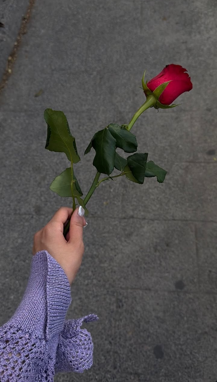 Post by @maral